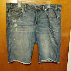 Gap 1969 Denim Shorts